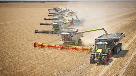 Tørke og stigende produktionsomkostninger får australske landmænd til at reducere hvedearealet, hvilket kan løfte kornpriserne. Arkivfoto