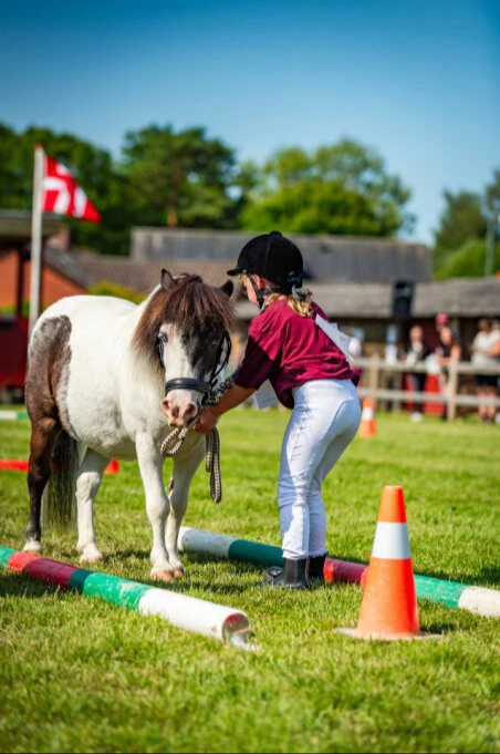 99 børn deltager med deres dyr på årets børnedyrskue i Odense. Foto: Kommpress