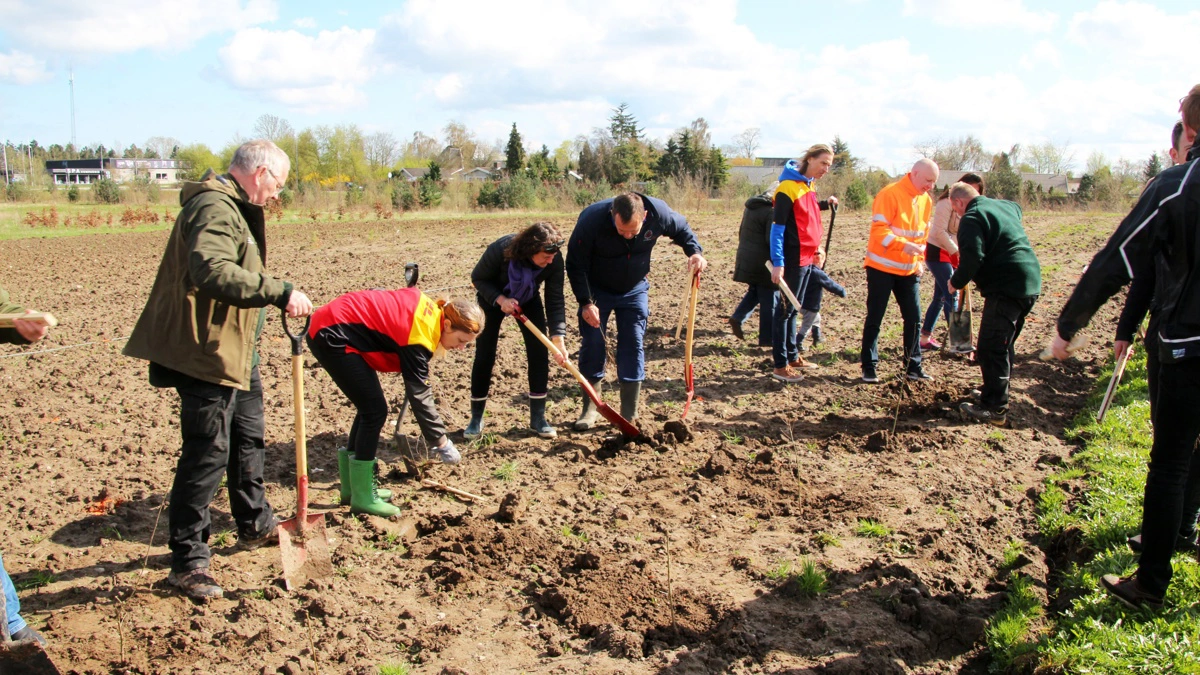 Folkeskoven i Odsherred skulle have været etableret i samarbejde med Growing Trees Network, der har været en aktiv medspiller på lignende projekter andre steder i Danmark. Billedet her stammer fra etableringen af Greve Folkeskov i 2024. Arkivfoto: Folkeskoven.dk