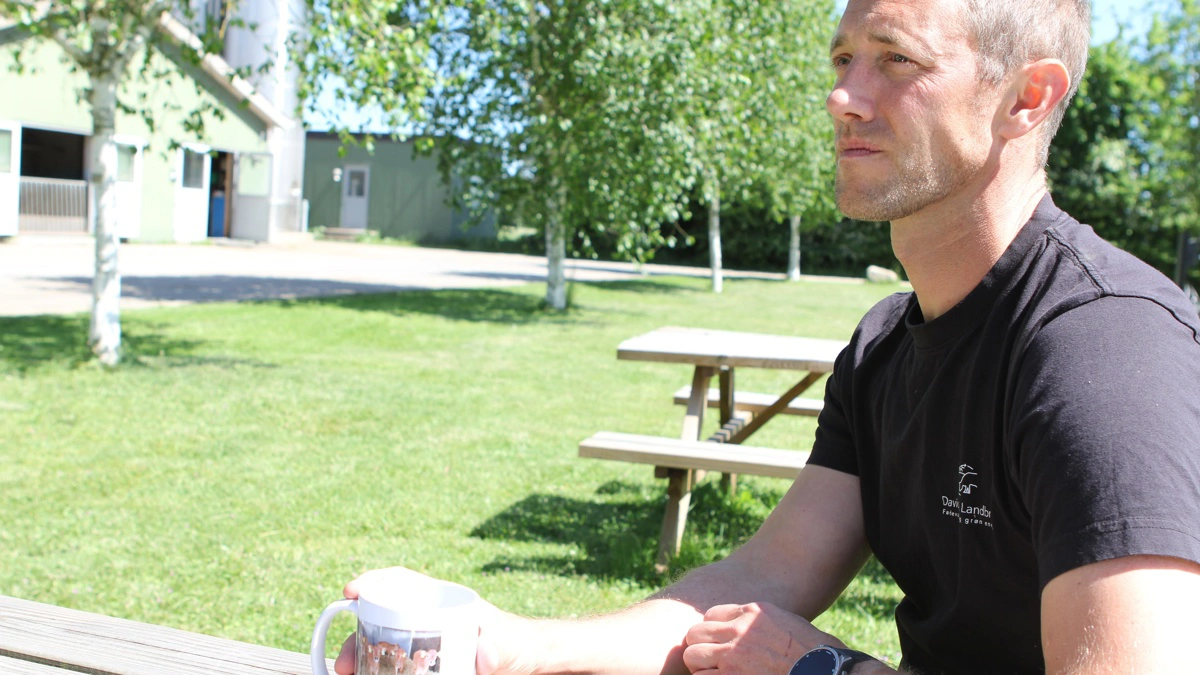 Det ånder fra fred og ro »før stormen« i picnic-området hos Davidsen Landbrug i Grindsted. 3F har varslet sympatikonflikt, så Kent Davidsen måske ikke får hentet sin mælk allerede fra i næste uge. Kent Davidsen har blot ikke modtaget varslingen, som 3F udelukkende har valgt at sende til DA, som landmanden ikke er medlem af. Fotos: Anne Wolfenberg