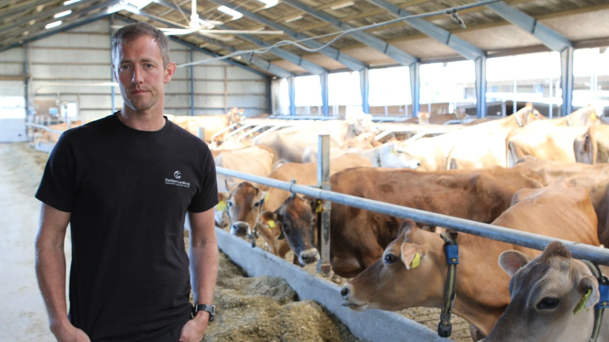 Kent Davidsen producerer omkring 13.000 liter mælk dagligt fra sit site i Grindsted og cirka 28.000 liter mælk dagligt fra sit site i Nr. Nebel. I alt omkring 41.000 liter mælk, som han kan risikere at skulle hælde i kloarken allerede i næste uge, hvis 3F gør alvor af sympatikonflikt blandt Arlas chauffører. 