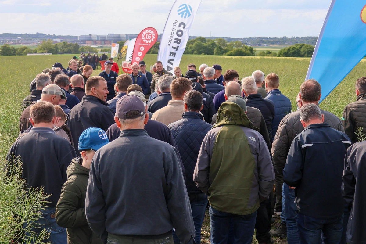 Til Agri Farm Day kan du komme på guidede ture rundt i forsøgsmarken.