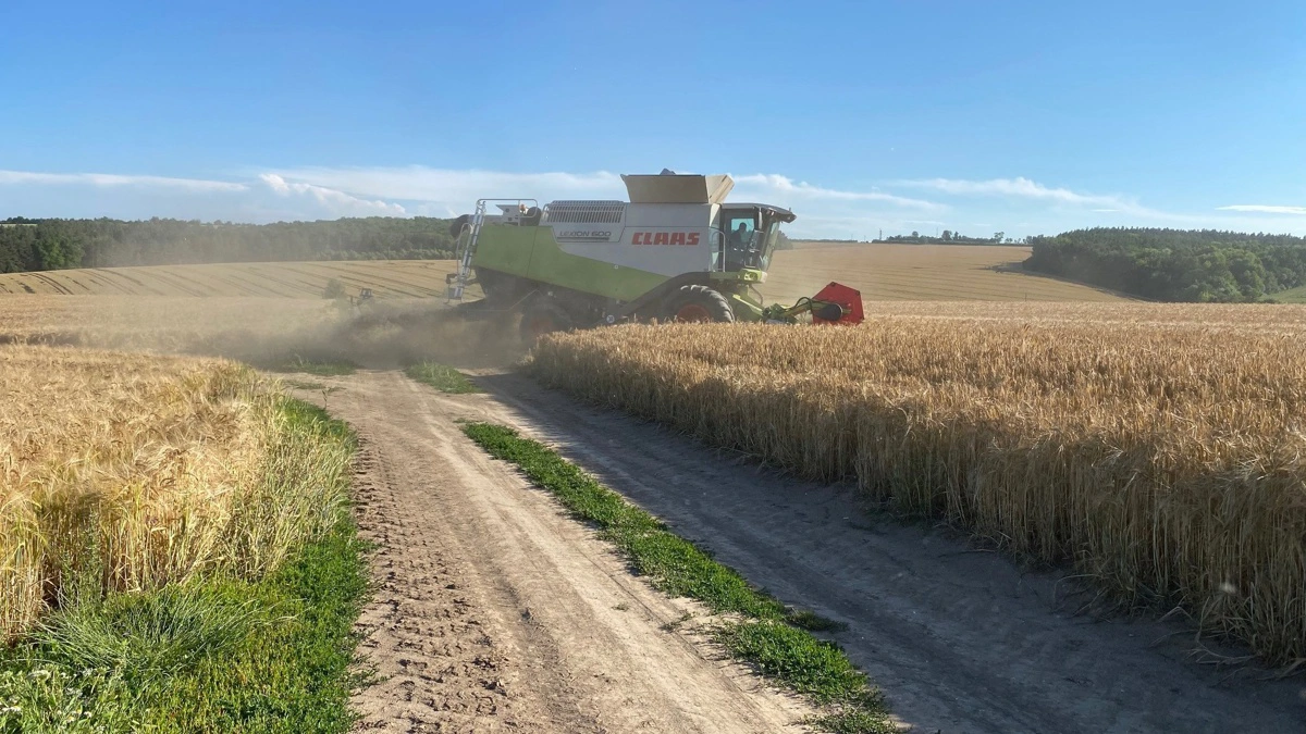 Trods krigen har Ukraine fastholdt sine store landbrugsarealer, der er en af landets største indkomstkilder. Billedet her er taget af danske Peter Hansen under høsten i 2024 nær Lviv i det vestlige Ukraine. Arkivfoto
