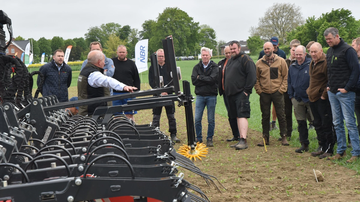 Omtrent 150 interesserede dykkede blandt andet dybere ned i radrensning ved årets sommermarkvandring i sukkerroerne på Sofiehøj. Fotos: Nordic Beet Research