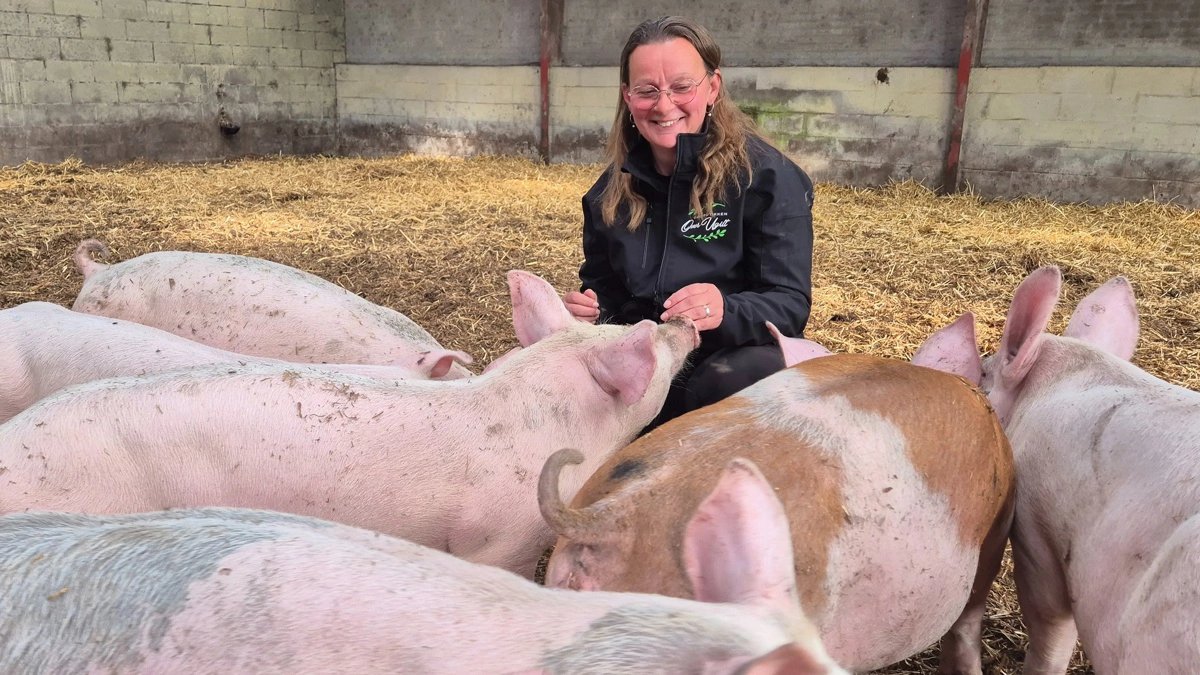 - Det er helt almindelige grise, som er født i en almindelig grisestald. Og så kommer de her som 30 kg og bliver fedet op, forklarer Kirsten Holgaard, som laver omkring 40 grise om året. 