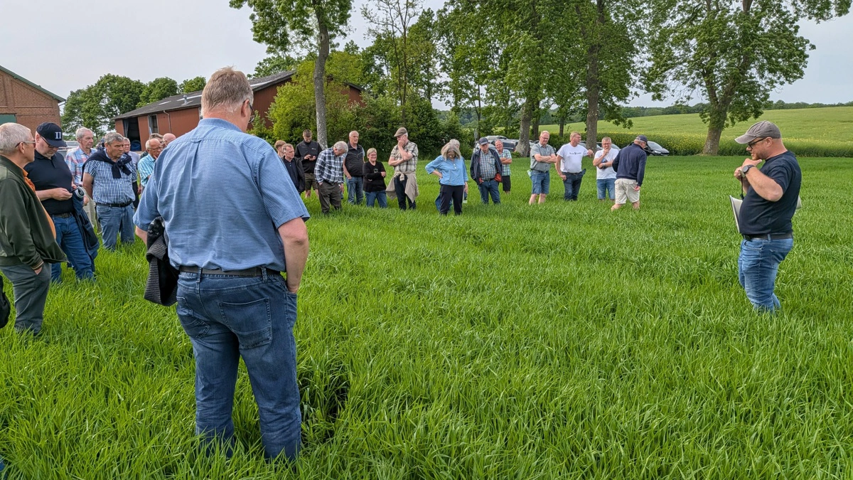 Næsten 250 landmænd deltog i Bæredygtigt Landbrugs sommermøde på Egeland Gods mellem Kolding og Vejle. Markvandringen var et af dagens faglige indslag. 