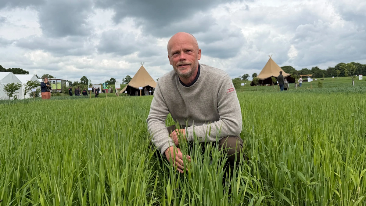 Jens Peter Hermansen er chefkonsulent ved Innovationscenter for Økologisk Landbrug og står blandt andet i spidsen for omlægningstjek. Fotos: Kasper Stougård 