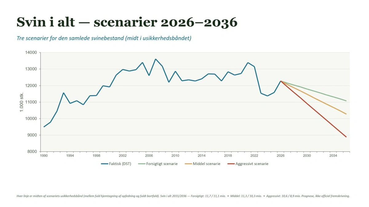 Graf 1. Scenarier for den samlede svinebestand. 