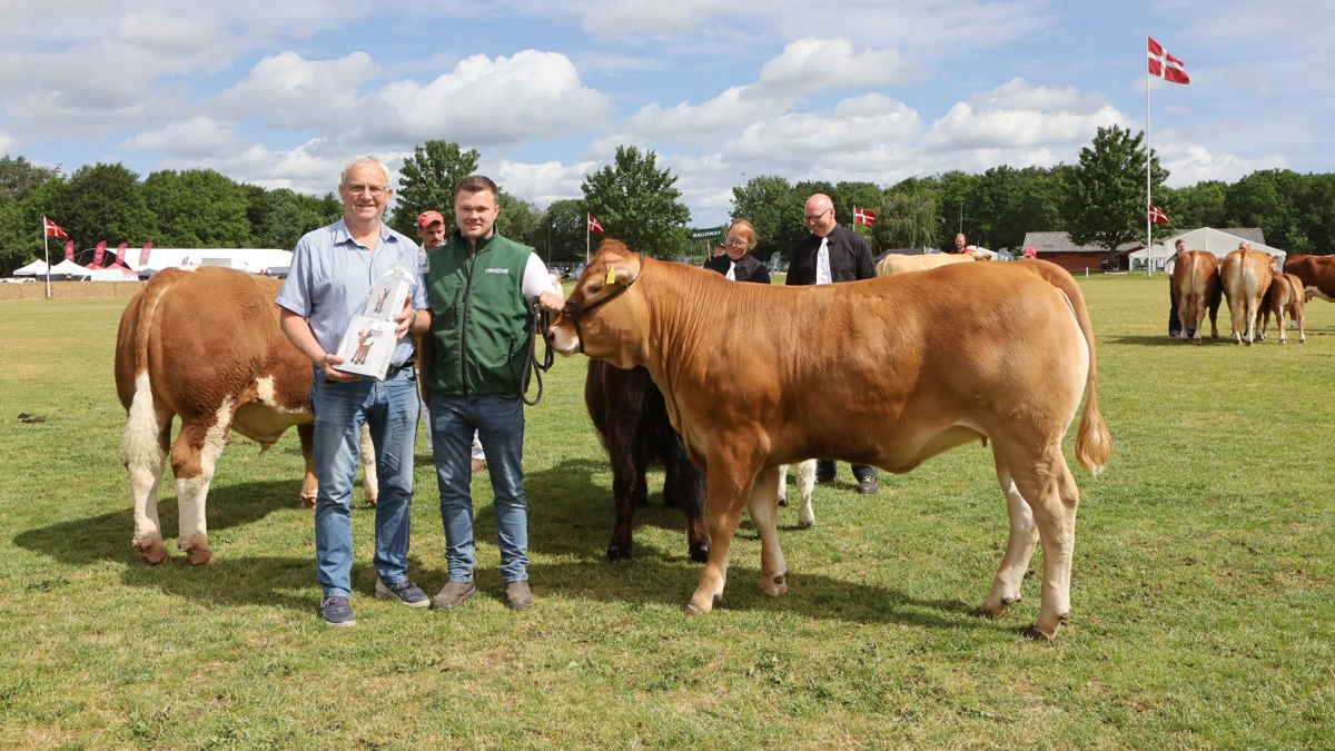 Ejer Erik Edsgaard, Vorbasse sammen med Simon Smidt fra Haundrup, der har opstaldet limousinekvien, der blev årets interbreed-vinder på tværs af racerne. Foto: Erik Hansen