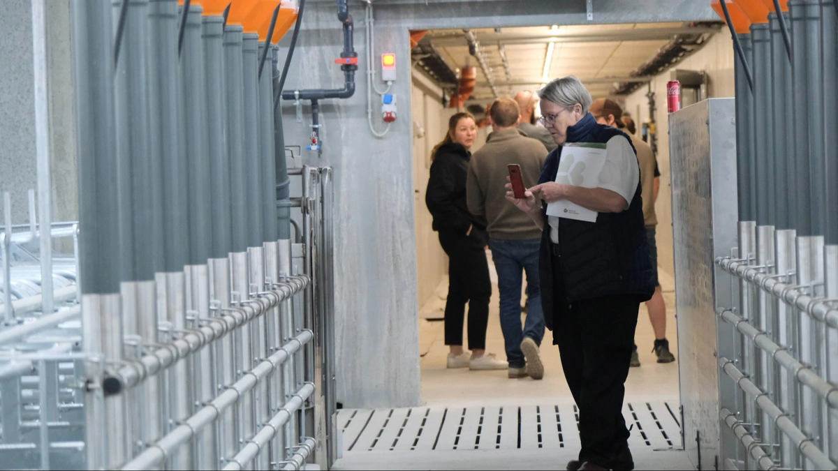 - Planlægningsmøderne har været helt fantastiske. Vi har måske taget omkring 90 procent af de problemstillinger, vi plejer at stå med ude på pladserne. Dem har vi kunnet tage på et tidligere tidspunkt på papir, hvor det ikke har kostet noget at lave om, siger Mads Bendixen, sælger ved Big Dutchman Skandinavien. 