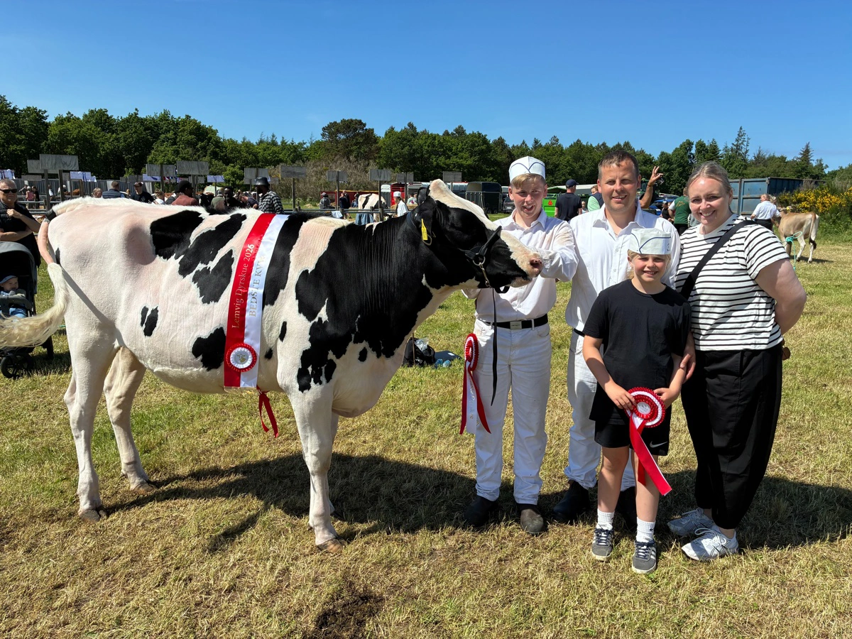 Bedste kvie: Holstein fra Peter Ladekarl Hansen, Sædding.