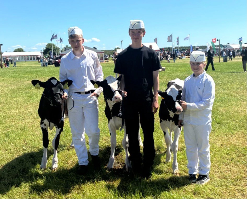 Bedste kvie-gruppe: Holstein fra LH Holstein, Sædding.