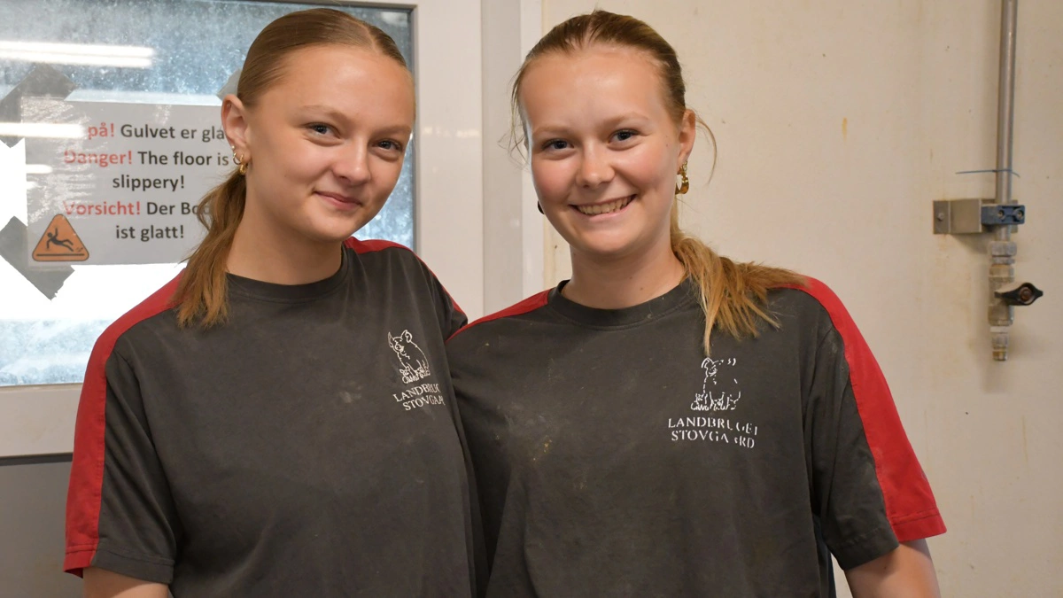 Maja Petersen og Amalie Hansen Koch bliver begge en fast del at teamet i soholdet fra den 22. juni.