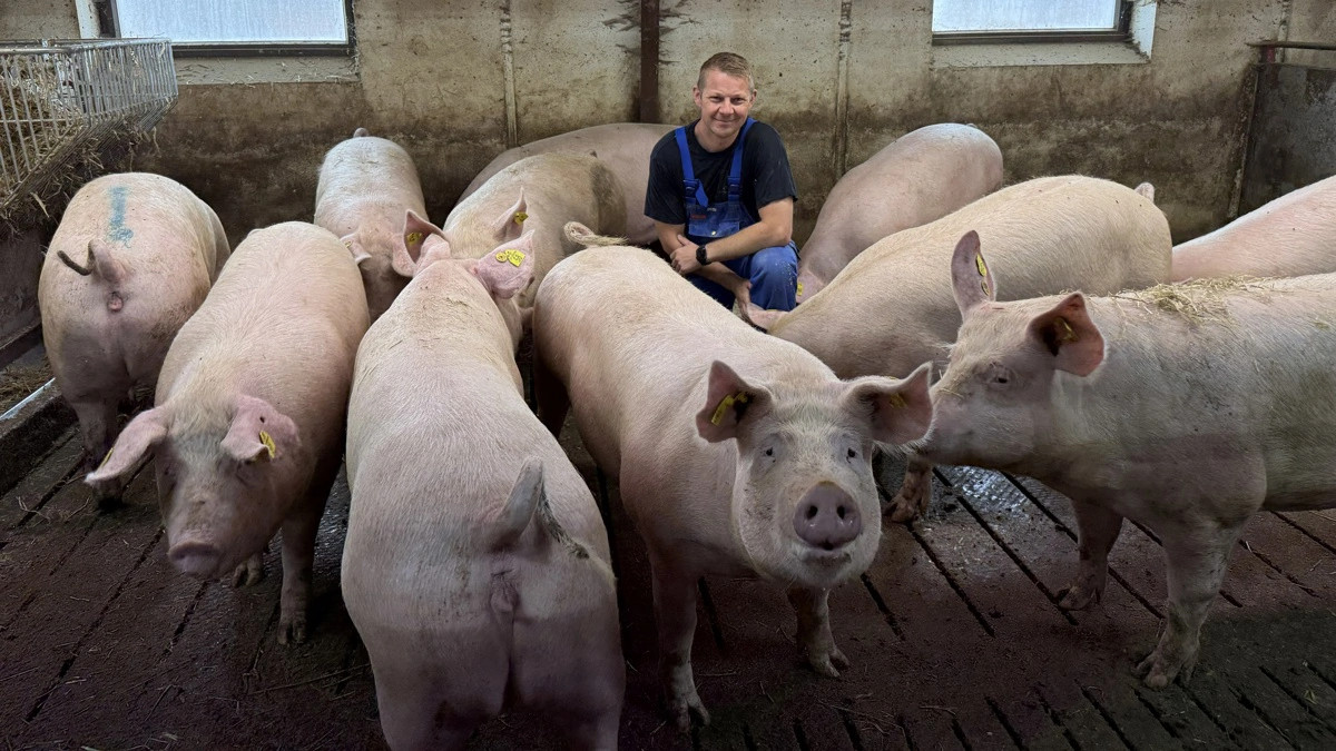 - Det er nemmere at gå stolt hjem fra arbejde, når man ved sine dyr har det godt, fortæller Jacob Justesen, som modtager polte med hele haler fra Hjarup Vestergaard. Foto: Privat.