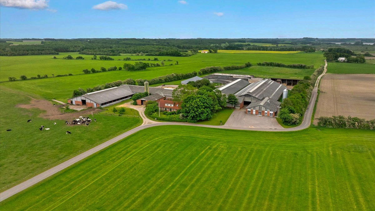 Mælkeproduktionen på Engkjærgaard er samletved Roslev, hvor der ifølge salgsopstillingen årligt leveres omkring 3,8 millioner kilo mælk til Arla. Bedriften udbydes i fuld drift med besætning, beholdninger og maskinpark.