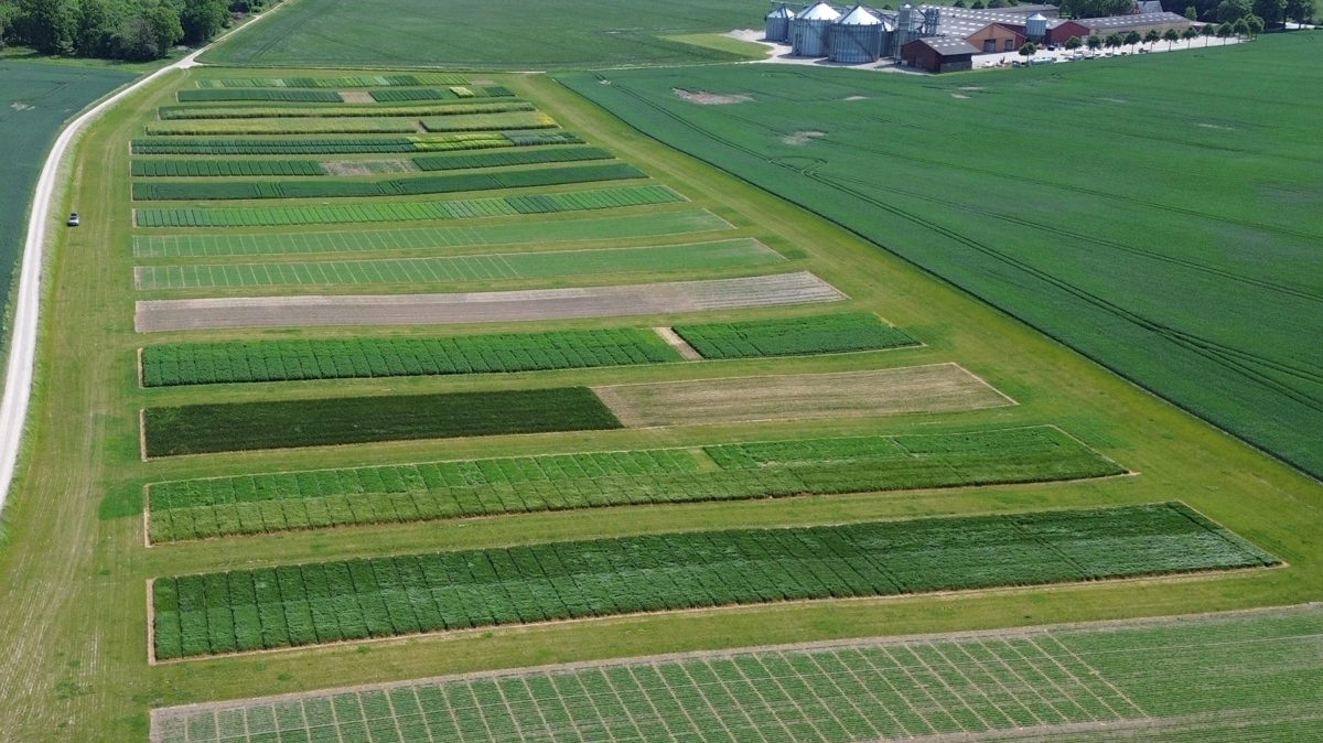 Oversigtsbillede af innovationsmarken.