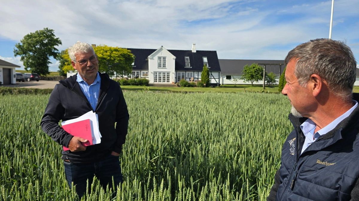 - I et gennemsnit over fem år høster jeg typisk lige knap 9 t/ha i vinterhvede og knap 5 t/ha i vinterraps. Men i et godt år ligger vi selvfølgelig højere, fortæller Jan Skovhøj.