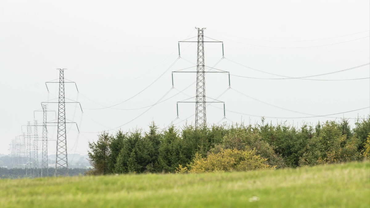 Luftledninger og beplantning går mange steder tæt på hinanden. Energinet gennemgår hvert år luftledningerne for at forebygge driftsforstyrrelser og sikre, at vegetation ikke kommer for tæt på højspændingsledningerne.