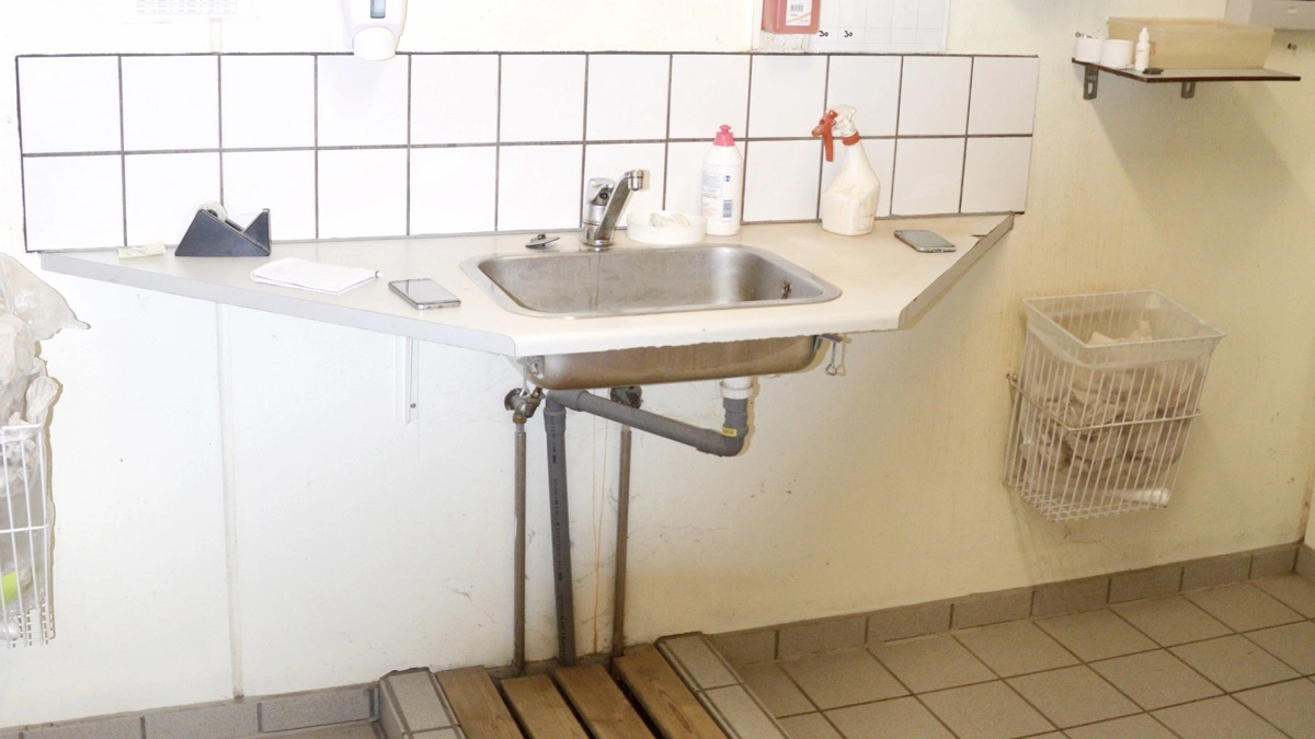 Landbrug & Fødevarer, Sektor for Gris (LFG), opfordrer danske griseproducenter til at skærpe opmærksomheden på smittebeskyttelse – især i forbindelse med ferie og rejser til udlandet. Arkivfotos: Camilla Bønløkke