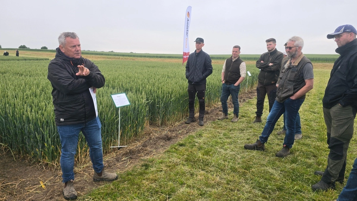 - Erfaringerne herfra er, at man skal op i dosering af midler som Prosaro og Proline Expert til 0,75 l/ha for at få samme effekt på septoria, fortæller firmakonsulent Klaus Nielsen, Bayer til en gruppe landmænd. Fotos: Jørgen P. Jensen