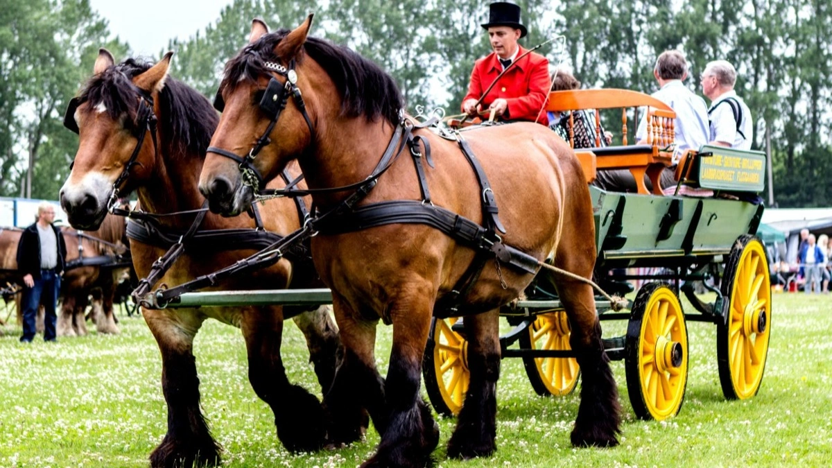 Gørlev Hesteskue og Kræmmermarked finder sted den 3.-5. juli. Arkivfoto