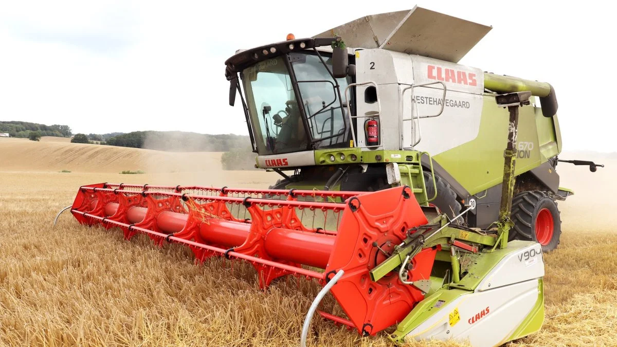 Den ene af Hestehavegaards to Claas Lexion 670-mejetærskere var i går i gang i maltbyggen med godt resultat. Fotos: Jørgen P. Jensen