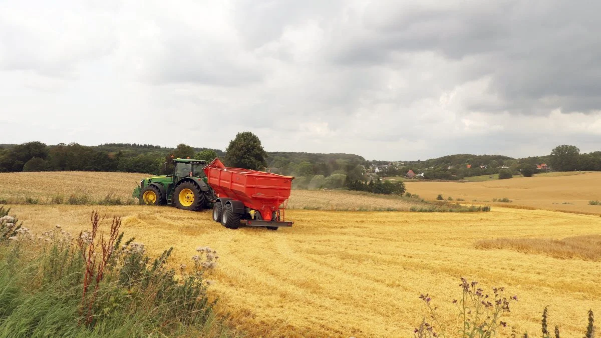 Mørke skyer trak i går op over markerne på den midtsjællandske Hestehavegaard.