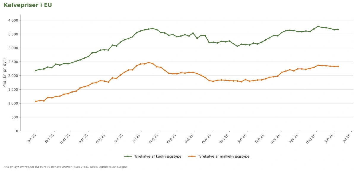 Figur 3: Udviklingen i gennemsnitspriserne på småkalve på tværs af EU-landene. Kilde: Agridata.ec.europa