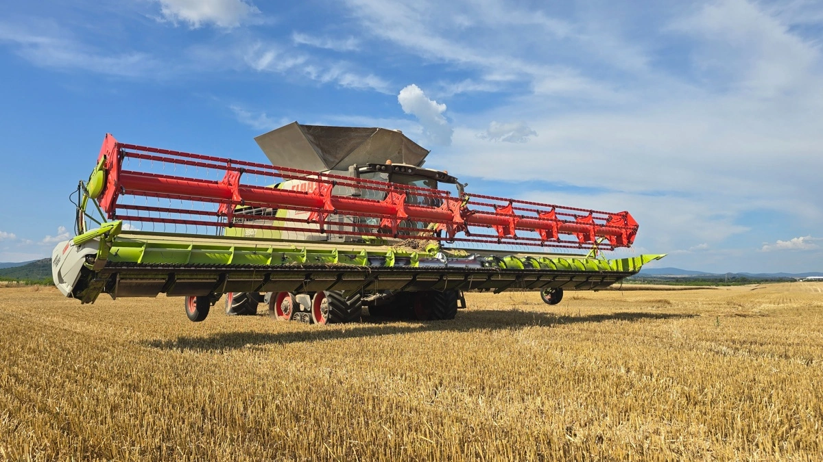 Gårdens tre mejetærskere er udstyret med Aps Synflow Hybrid-tærskesystem, Cemos Automatic førerassistance og Terra Trac-bælter. Det giver en høj kapacitet, god kornkvalitet og lav jordpakning. 