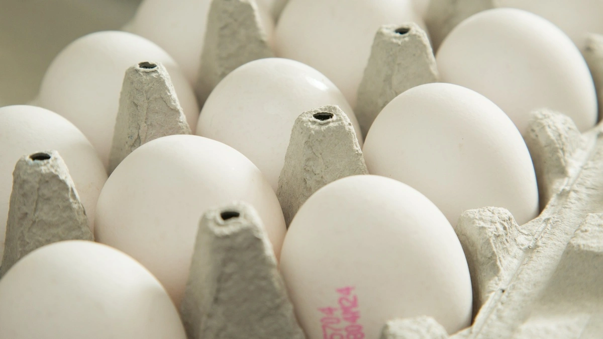 Ifølge lektor Jens Peter Christensen fra Københavns Universitet er danske æg blandt de sikreste valg, fordi danske producenter tester langt oftere og bredere for salmonella end de fleste andre EU-lande. Foto: Colourbox