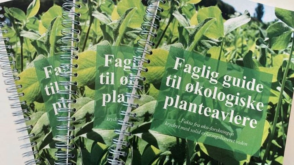 Ifølge tal fra Landbrugsstyrelsen er antallet af økologiske bedrifter stort set uændret siden udgangen af 2024. Arkivfoto
