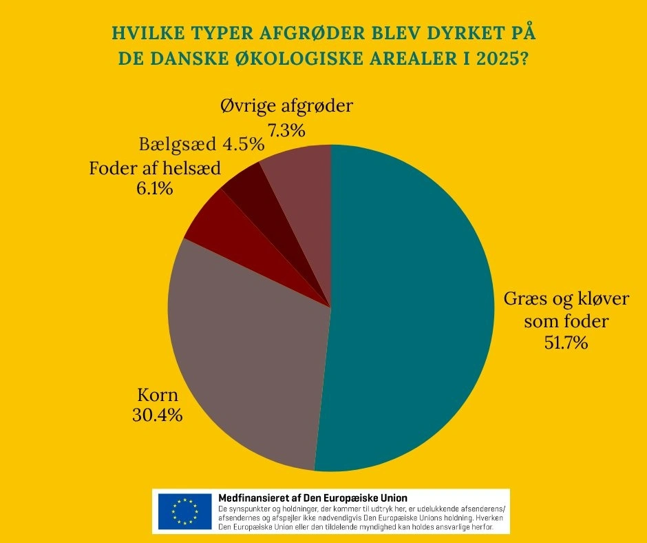 Græs fylder signifikant mere på de økologiske arealer end på de konventionelle. 
