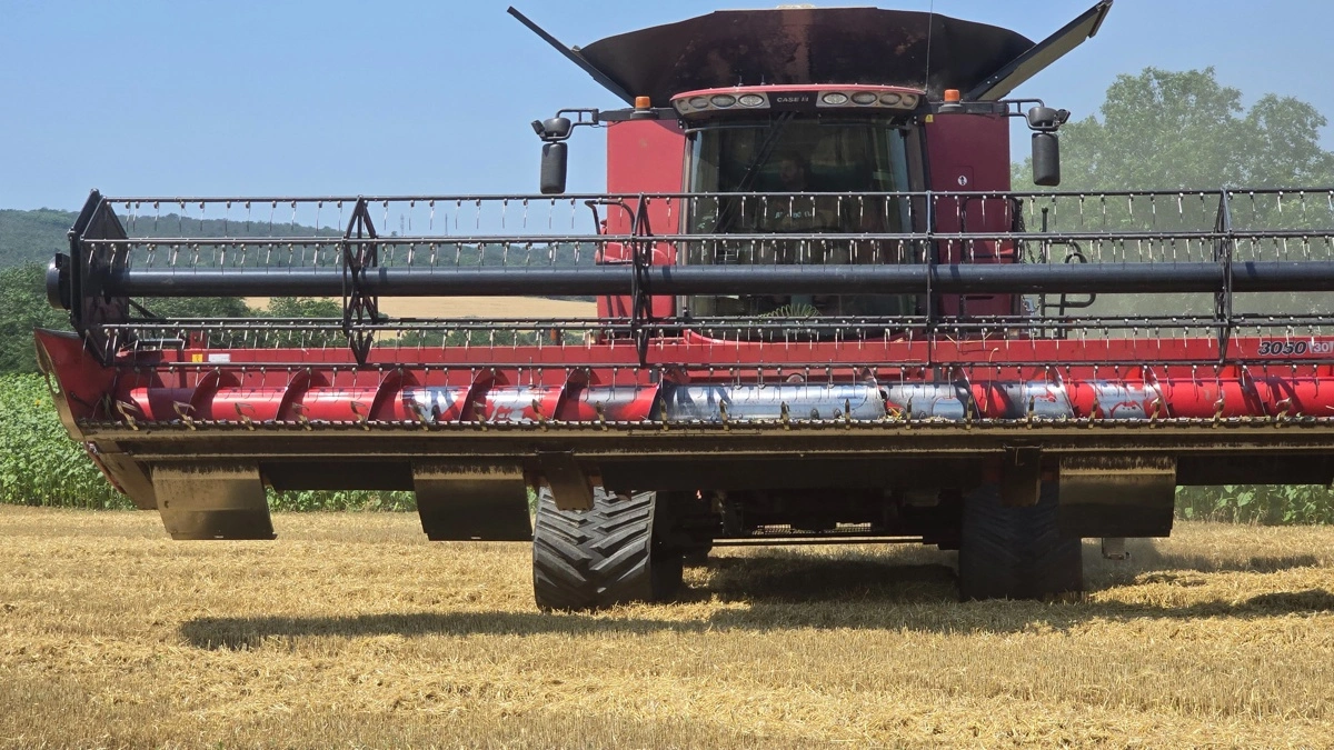 Alle afgrøder på det 1.000 hektar store planteavlsbrug bliver høstet med denne kraftfulde Case IH 8250.
