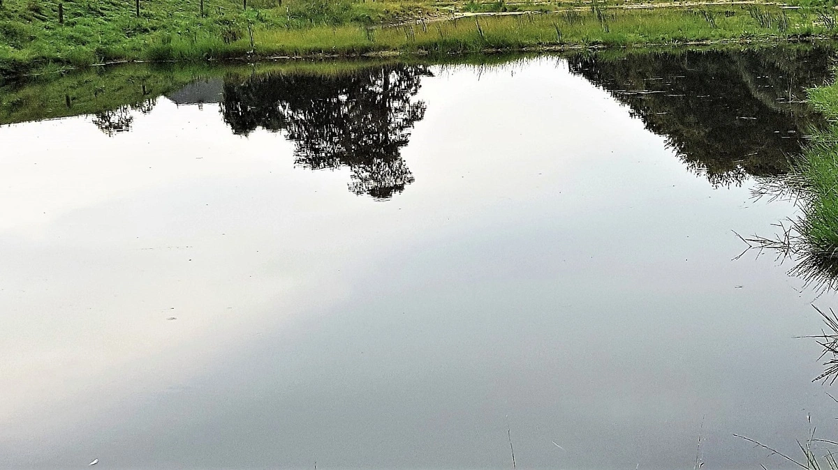 Torben Povlsen, Frørup ved Nyborg er klar til næste skridt i retningen mod at få etableret foreløbigt tre minivådområder på sine marker. Arkivfoto