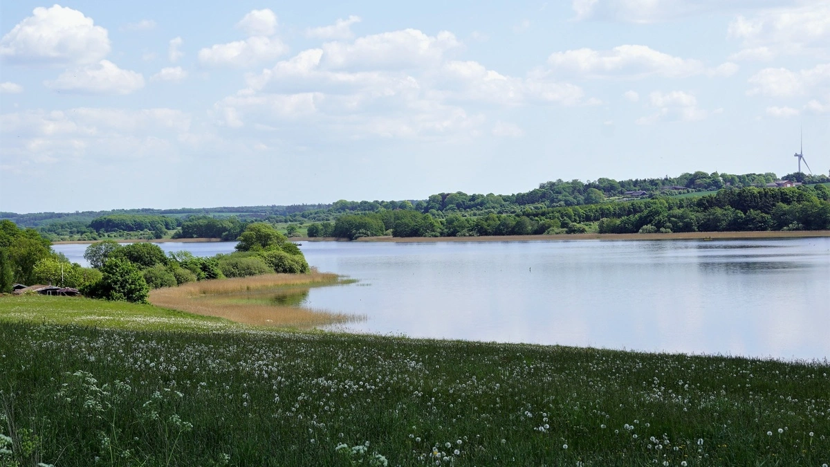Lavbundsprojektet Glenstrup Enge i Mariager Fjord Kommune er det 92. trepartsprojekt, der er blevet færdigt. Det ligger nær Glenstrup Sø. Foto: Nils Jepsen via Creative Commons 4.0 International
