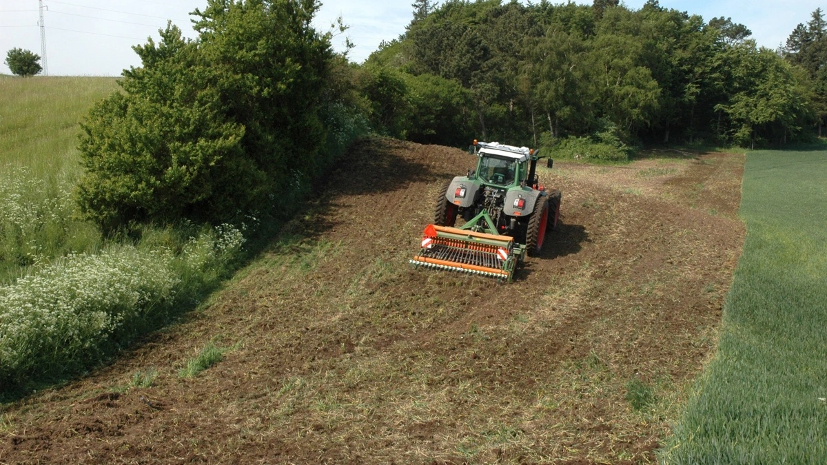 Plant for Vildtet-ordningen har støttet plantning af træer og buske i det åbne land, blandt andet via vildtremiser, som det ses her på billedet. Men nu er ordningen lukket. Arkivfoto