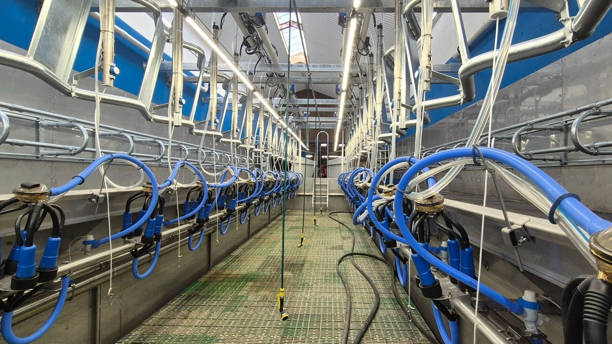 Med hjælp fra CowTech står nu den nyeste Boumatic GT2 2x16 60-graders malkestald på ejendommen.
