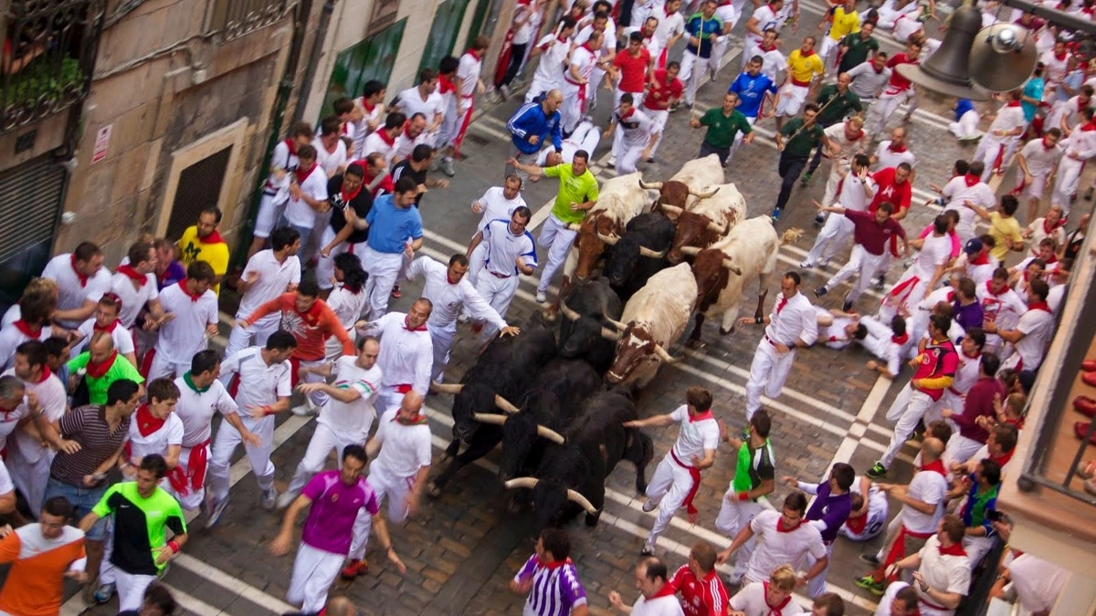 Mens tyrene i disse dage løber gennem Pamplonas gader under San Fermín-festivalen, kritiserer World Animal Protection Danmark, at EU’s landbrugsstøtte kan gå til opdrættere af fx kamptyre. Foto: Atkins525 via CC Share-Alike 4.0 International