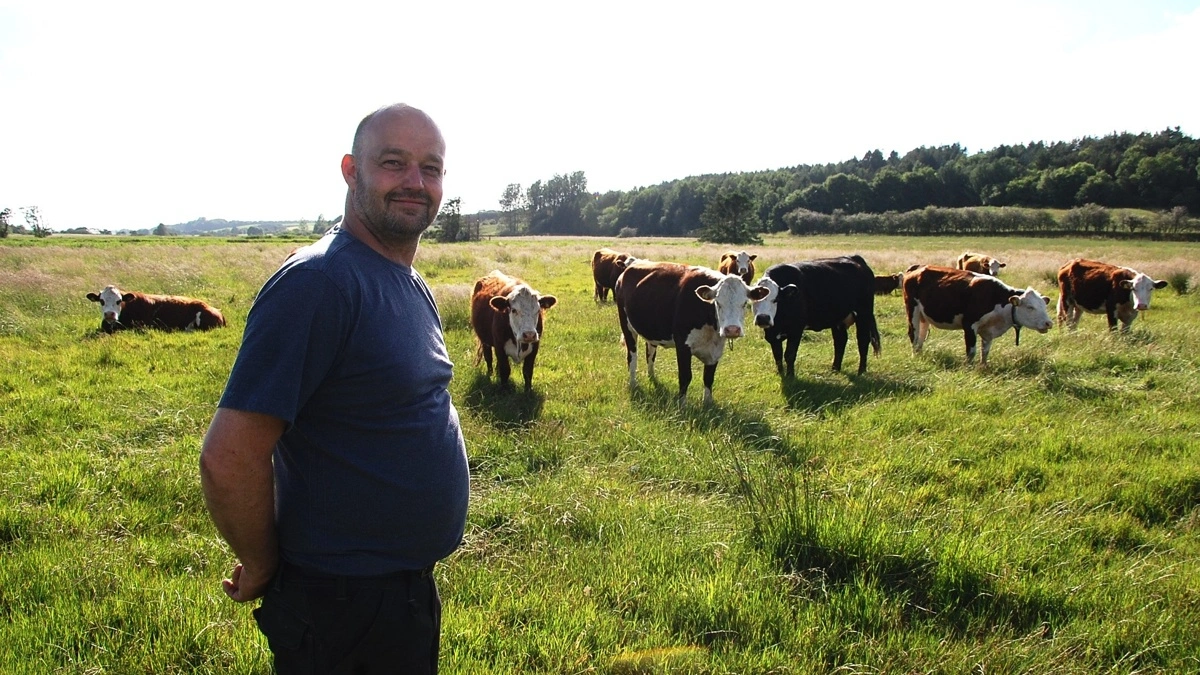 Jacob Jensen har 22 kreaturer til at gå i et stort engområde ved Skals Å. Dyrene holdes inde af et usynligt hegn. Landmanden synes, at det virtuelle hegn fungerer godt. 