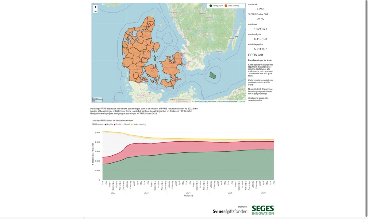 Aktuelt overblik over sanering for PRRS i Danmark. Kilde: Seges Innovation
