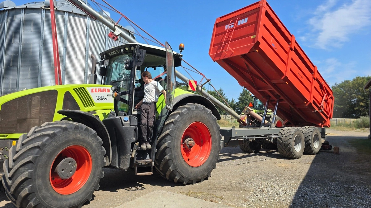 Carl Emil Hansen er i gang med at læsse den nyhøstede byg over i silo, inden det skal leveres til Danish Agro i Karise.