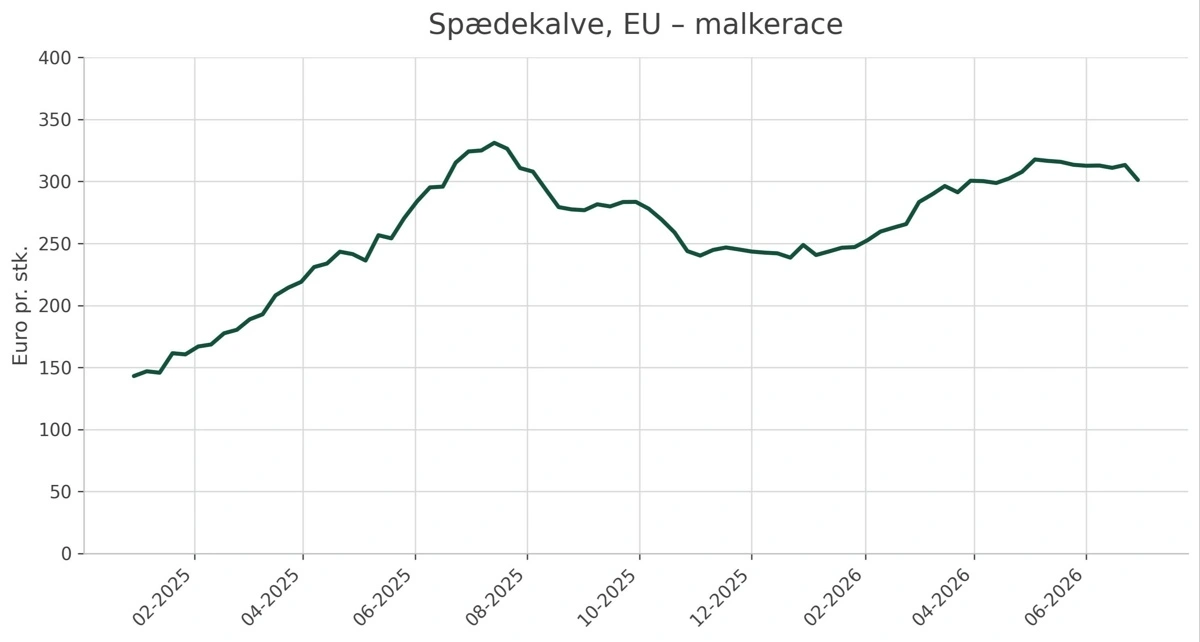 Figur 3: Udvikling i den gennemsnitlige afregningspris på spædekalve i EU. Kilde: Agridata.ec