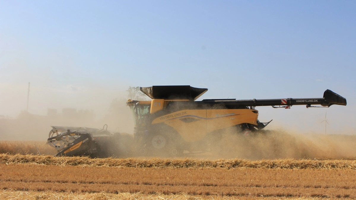 Mejetærskerpilot Frands Pedersen blev hurtigt dus med den nye CR11 og det store skærebord. Tirsdag kørte han sammen med en John Deere S690i med 40-fods skærebord i vinterbyggen.