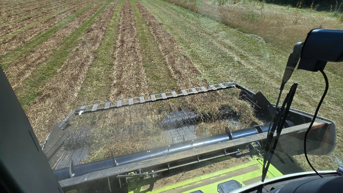 I det knastørre vejr torsdag formiddag samler pickup-skørebordet på 4,5 meter let to skår op.