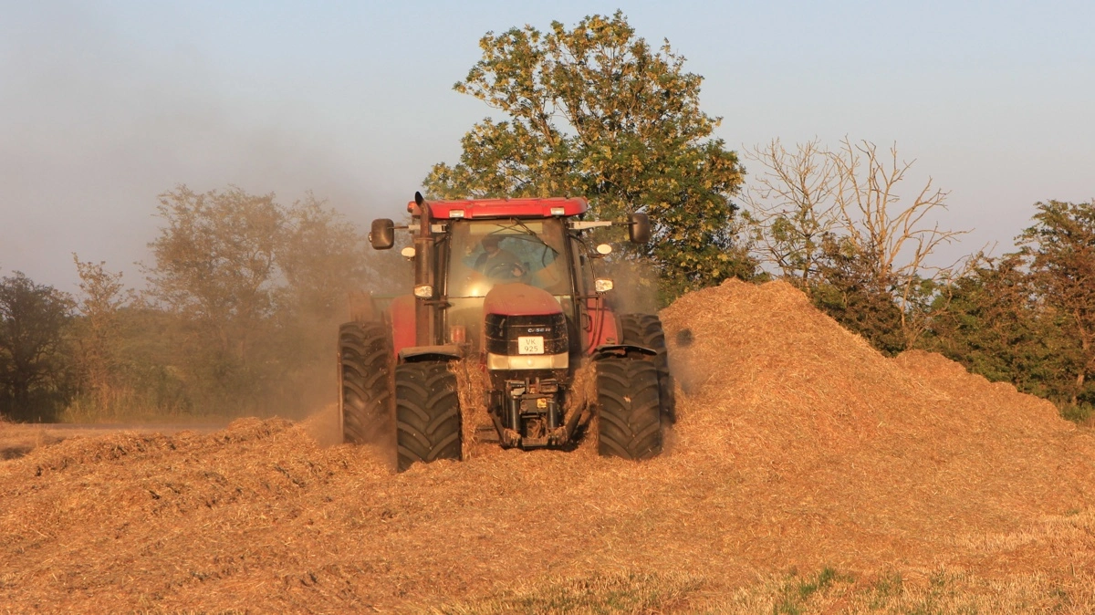 Case IH Puma'en er på hårdt arbejde for at jævne det tørre, løse og støvede frøgræshalm ud i stakken. 