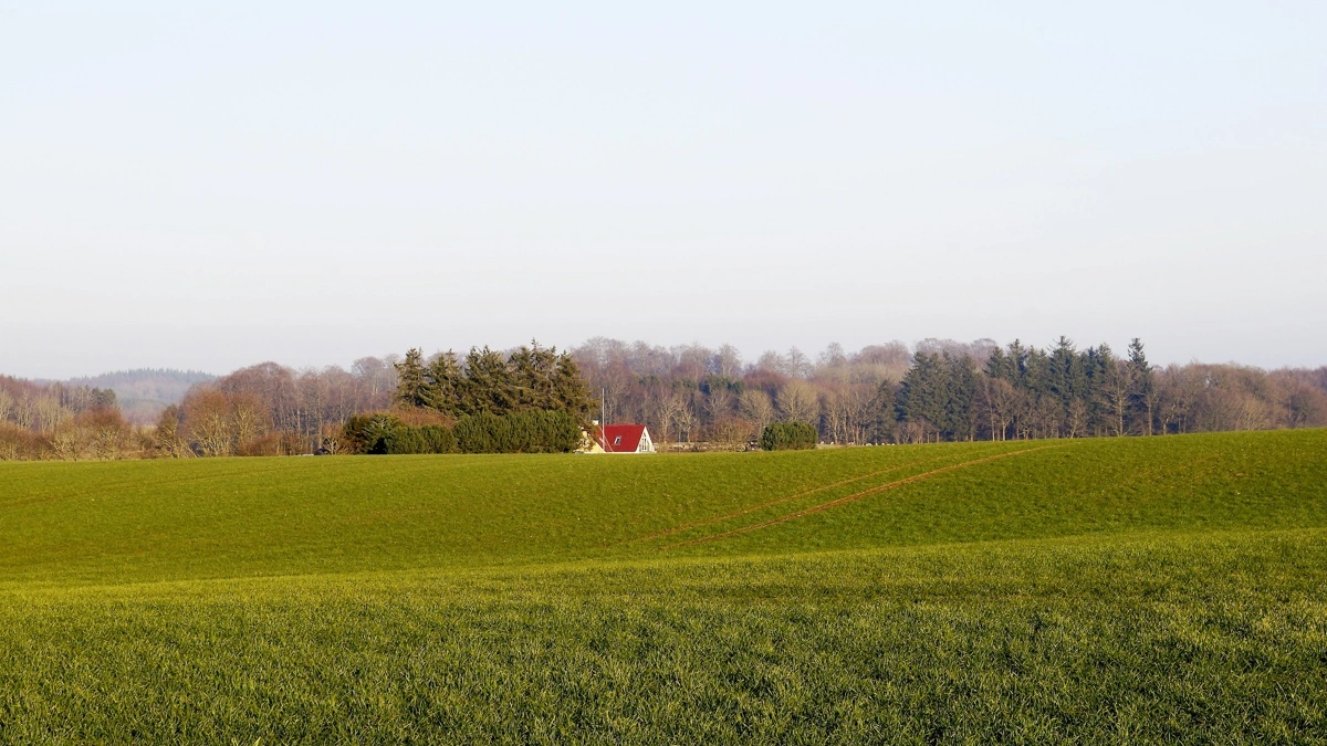 Debatten bør handle om de reelle konsekvenser for produktion, beskæftigelse og landdistrikter frem for urealistiske modeller, tilkendegiver man i Bæredygtigt Landbrug. Arkivfoto
