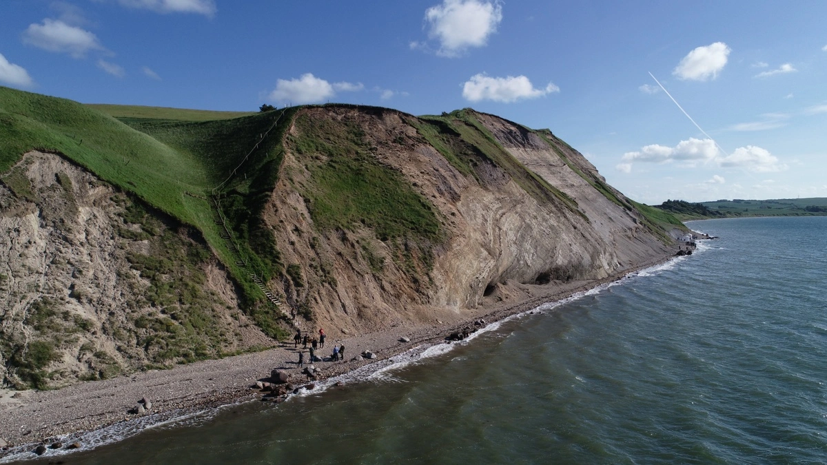 Hanklit på Mors rejser sig op til 61 meter over Limfjorden og er et af Danmarks mest markante molerlandskaber. Klinten er nu optaget på Unescos verdensarvsliste for sin enestående geologiske og naturhistoriske betydning. Foto: Morsø Kommune