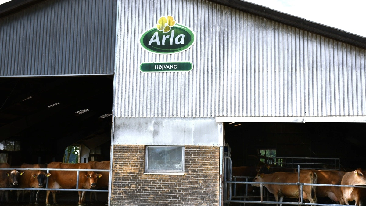 Arla Foods' klimatiltag FarmAhead Check er blevet en del af hverdagen hos blandt andet de danske mælkeproducenter. Foto: Camilla Bønløkke