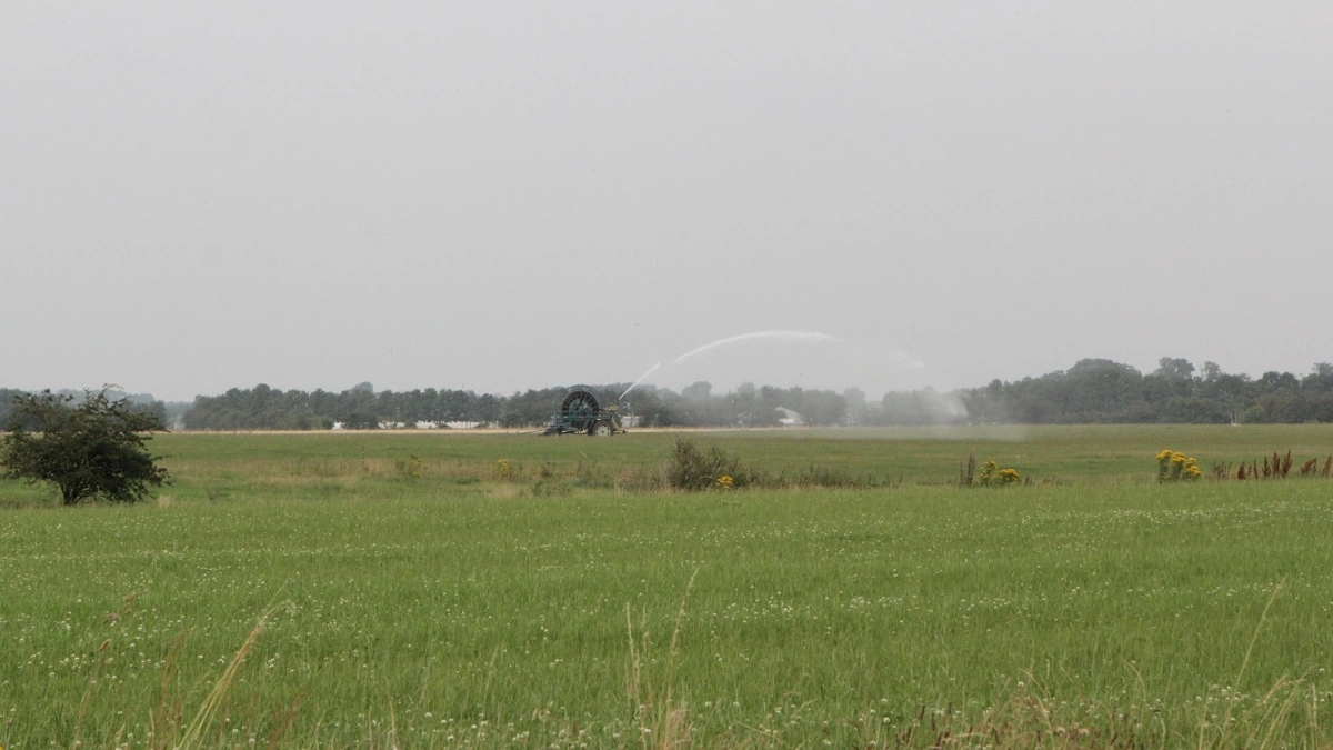 Området omkring Gamst Søenge er præget af landbrug i dag. Men det kan snart være en saga blot. Arkivfoto: Anne Wolfenberg