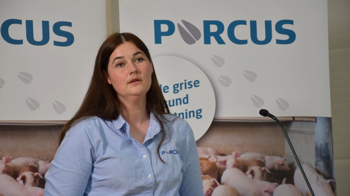 Dyrlæge Henriette Guldborg, Porcus, opfordrer producenterne til at arbejde mere systematisk med råmælken. Ifølge hende er faste rutiner omkring faring en vigtig forudsætning for at reducere pattegrisedødeligheden. Fotos: Camilla Bønløkke